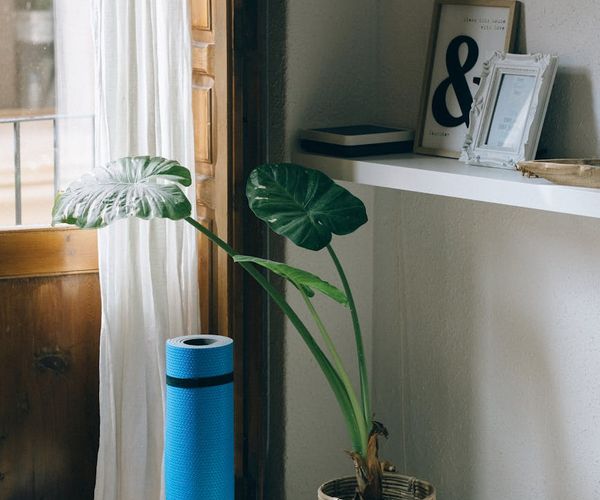 Cozy and clean corner of a room with a rolled-out yoga mat.